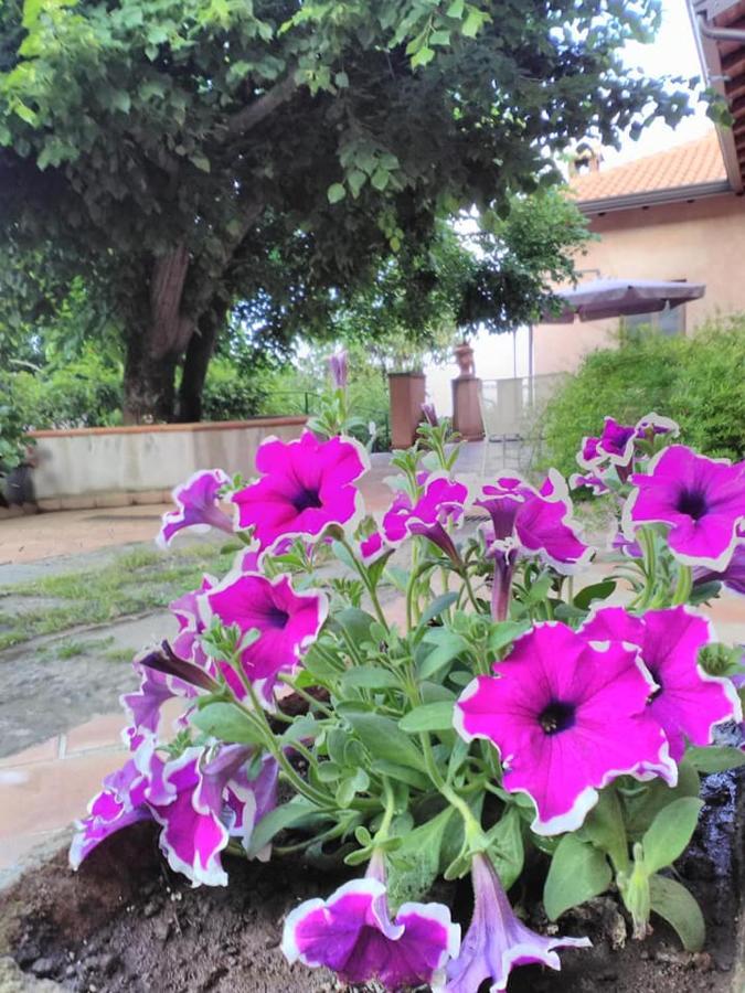 La Corte Di Bafe B&B "Slow Life" 제프라나에트니아 외부 사진